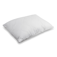 Подушка Vilena Classic 50 см х 70 см CMP210